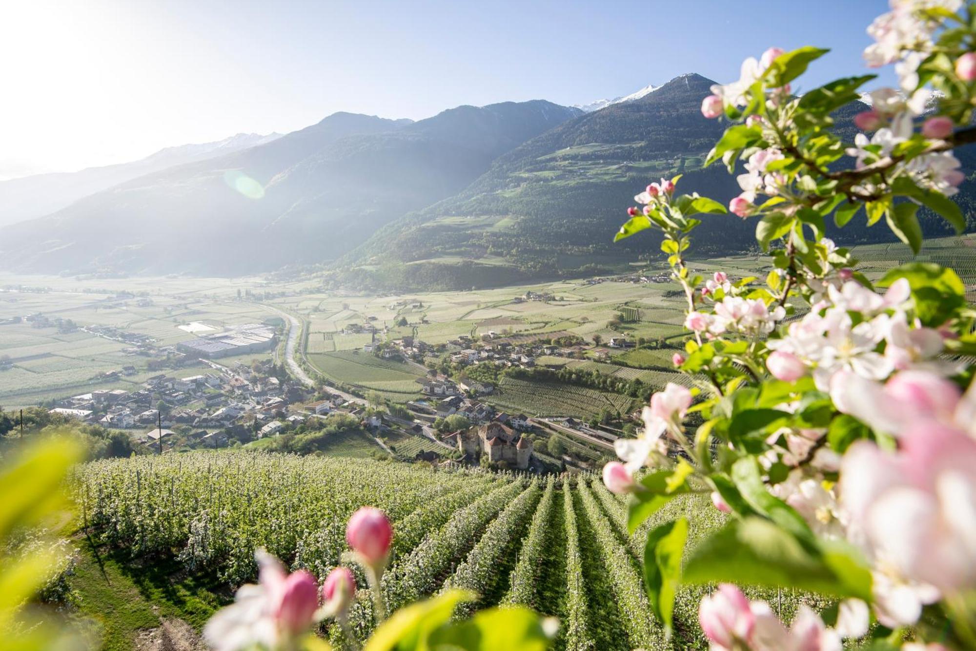 Lindenhof Pure Luxury & Spa Dolcevita Resort Натурно Екстер'єр фото